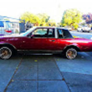 Meet your Posher, Roger